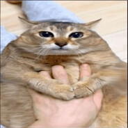 хар_дик_skins.army